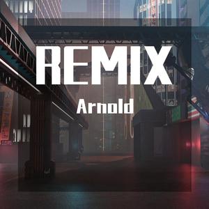Axel F(Arnold/毛巾被被 remix)