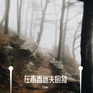 在青春迷失的狗 伴奏