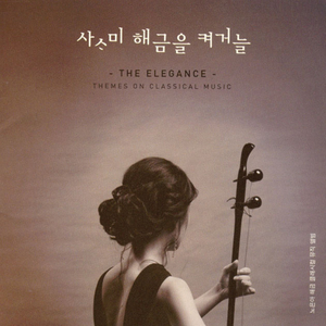 Image for Haegum and Piano