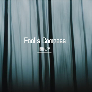 Fool's Compass