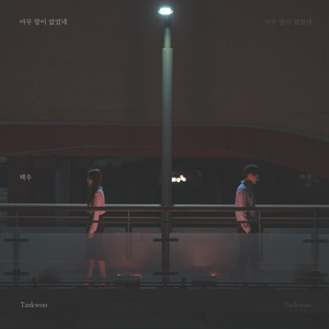 아무 말이 없었네