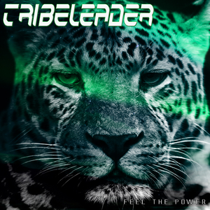 Feel The Power (Instrumental Master 2)