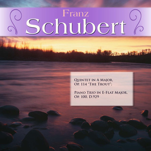 Piano Trio in E-Flat Major, Op. 100, D.929: II. Andante con moto