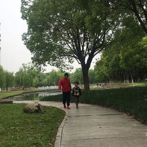 深秋的来信