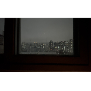 서울에 내리는 비