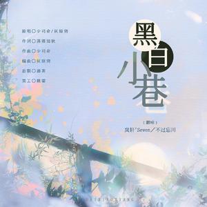 黑白小巷（cover：灰原穷/少司命）