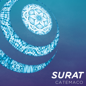 Shaktic (Original Mix)