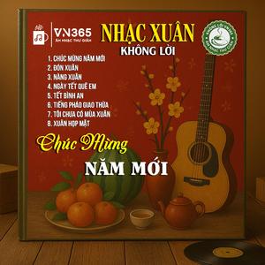 Đón Xuân - Hòa Tấu Guitar Không Lời