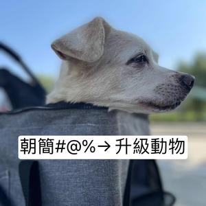 升级动物（器乐版）