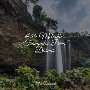 Desintoxicar el Cuerpo