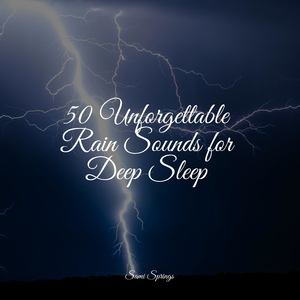 Ocean Waves and Seagulls Overhead