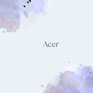 Acer
