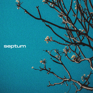 Septum (Original Mix)