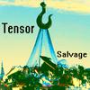 Tensor - Shake it Off