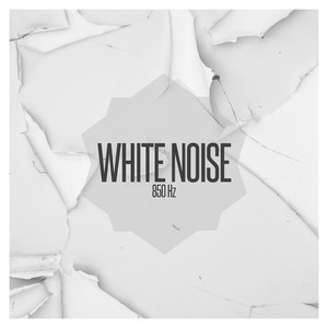 White Noise 850 Hz, Pt. 8