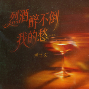 烈酒醉不倒我的愁 (节奏版)