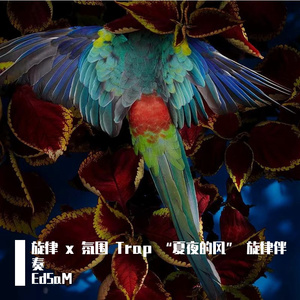 旋律 x 氛围 Trap “夏夜的风” 旋律伴奏