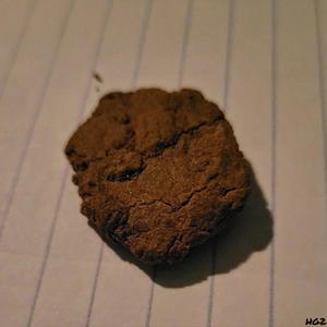 Bambi Is Dead (INSTRUMENTAL)