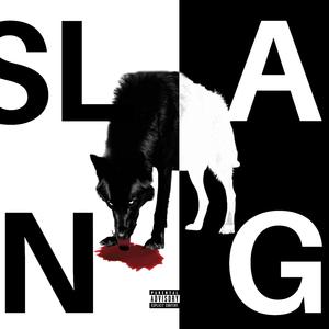 Slang