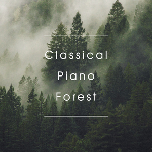 肖邦: 雨滴前奏曲 (雨声)