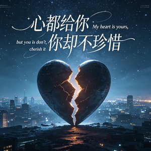 心都给你你却不珍惜