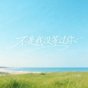 不是我没等过你