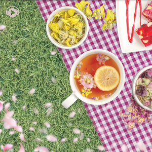 Cyclamen (feat. therapon)