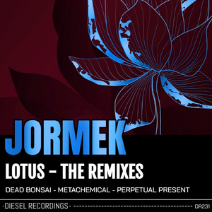 Lotus - The Remixes (Perpetual Present Remix)