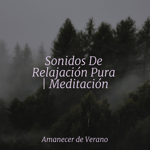 El camino desplegable del misterio