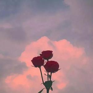 一个人的难相思