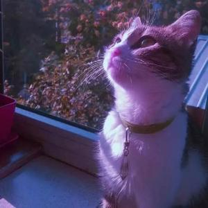 Fantastic May(prod.by LRUI17)