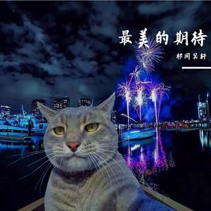 群星-我们的爱（DJ版）（祁闻冥轩 remix）