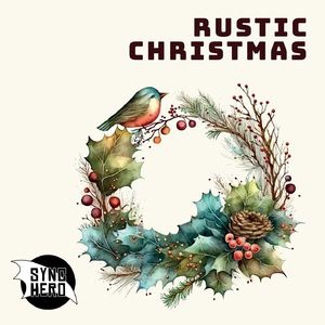 Carol Of The Acoustic Guitar