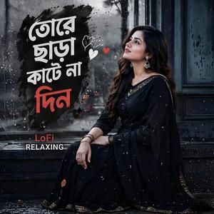 তোরে ছাড়া কাটে না দিন Vocal Style Relaxing Mood Trending Sad Vibe Female (feat. TBi Music Studio)