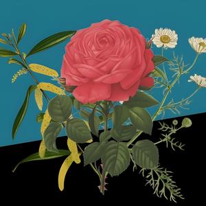 First Combat Submarine (H.L. Hunley)