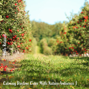 Calming Daytime Cider Mills Nature Ambience, Pt. 7
