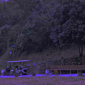 自然与文明之间，随机而无常，共生并演变，生命和意义逐渐分离和成型