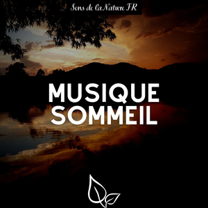 Regard yogique (Vagues de l'océan)