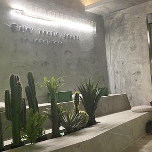 纪妍彤-你一定要幸福