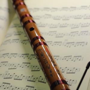 身披彩衣的姑娘（竹笛）