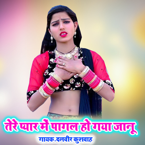 Tere Pyar Main Pagal Ho Gaya Janu