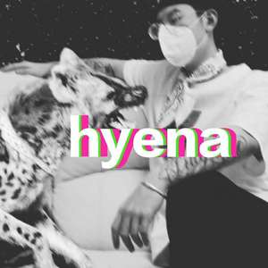 hyena