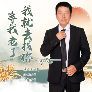 等我老了我就去找你