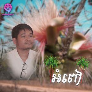 អំពៅ