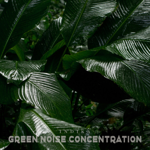 Green Noise Concentration