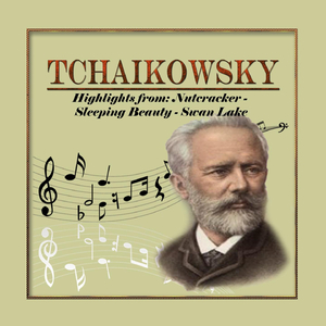 Symphony No. 3 in B-Flat Major, Op. 29 "Polish": II. Alla tedesca. Allegro moderato e semplice