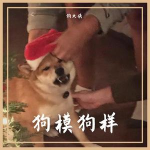 姑娘，今夜我不想睡觉