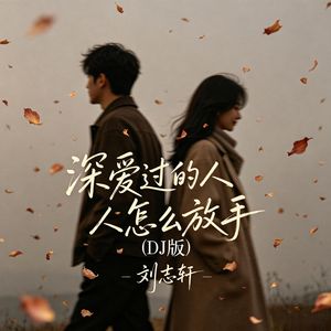 深爱过的人怎么放手(DJ烟嗓版)