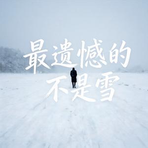我遗憾的不是雪