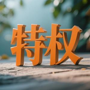 特权 (风无念 Remix)